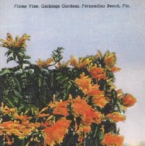 (#08) 2008.001.002 -copy