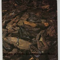 Whatever You Can Carry