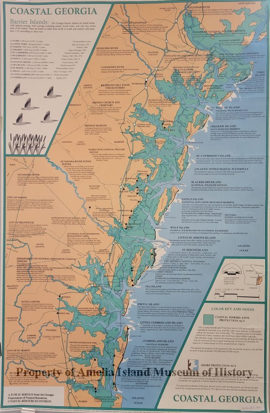 Barrier Islands Georgia