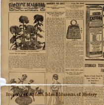 Fernandina News-Record Friday July 2, 1915 Page 6 Illustrations