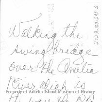 Bridge for train over Amelia River