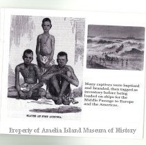 20241204144400930_0013