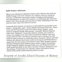 20241204144400930_0021