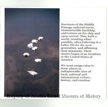 20241204144400930_0027