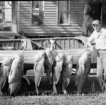 Old-4 fisherman and big fish
"Class of '66"
