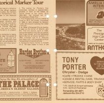 1978 Fall Amelia Now