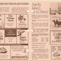 1979 Fall Amelia Now