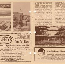 1979 Fall Amelia Now