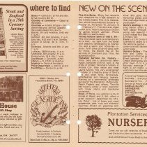 1979 Fall Amelia Now