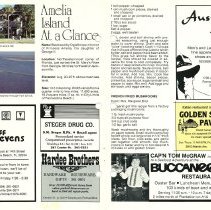 1984 Spring Amelia Now