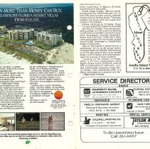 1984 Spring Amelia Now