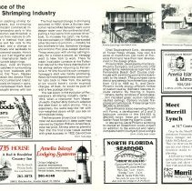 1984 Spring Amelia Now