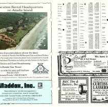 1984 Spring Amelia Now