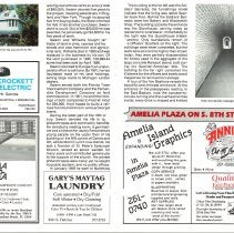 1986 - 1987 Winter Amelia Now