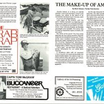 1986 - 1987 Winter Amelia Now