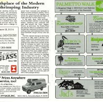 1987 Spring Amelia Now