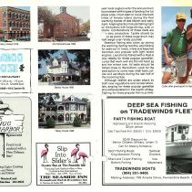 1987 Spring Amelia Now