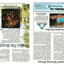 1987 Spring Amelia Now