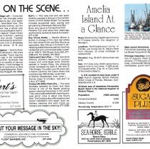 1987 Summer Amelia Now