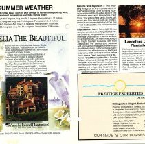 1987 Summer Amelia Now