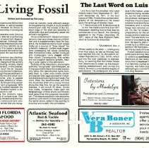 1987 Summer Amelia Now