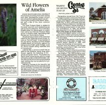 1987 Summer Amelia Now