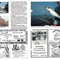 1987 Summer Amelia Now