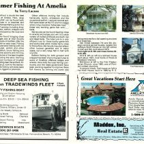 1987 Summer Amelia Now