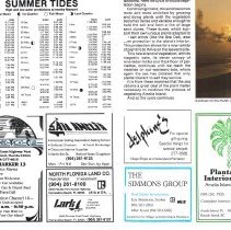 1988 Summer Amelia Now