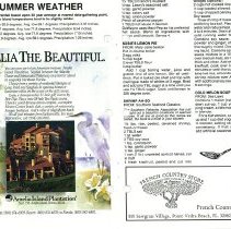 1988 Summer Amelia Now