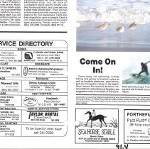 1988 Summer Amelia Now