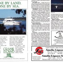 1988 Summer Amelia Now