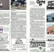 1988 Summer Amelia Now