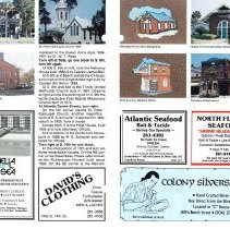 1988 Summer Amelia Now