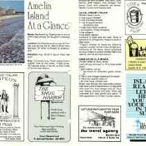 1988 Fall Amelia Now