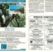 1988 Fall Amelia Now