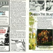 1988 Fall Amelia Now