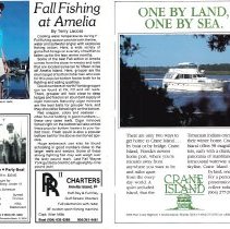 1988 Fall Amelia Now