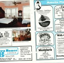 1988 Fall Amelia Now