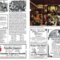 1988 Fall Amelia Now