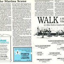 1988 Fall Amelia Now