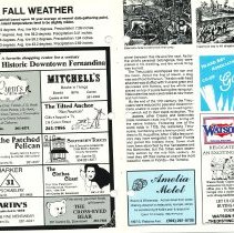 1988 Fall Amelia Now