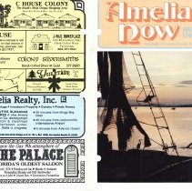 1988 Fall Amelia Now