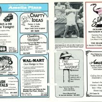 1989 Summer Amelia Now