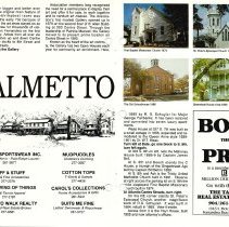 1989 Summer Amelia Now