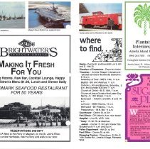 1989 Summer Amelia Now