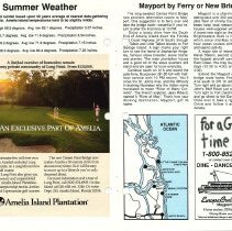 1989 Summer Amelia Now