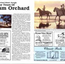 1989 Summer Amelia Now