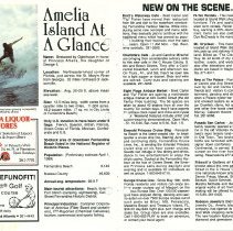 1989 Summer Amelia Now