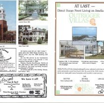 1989 Summer Amelia Now